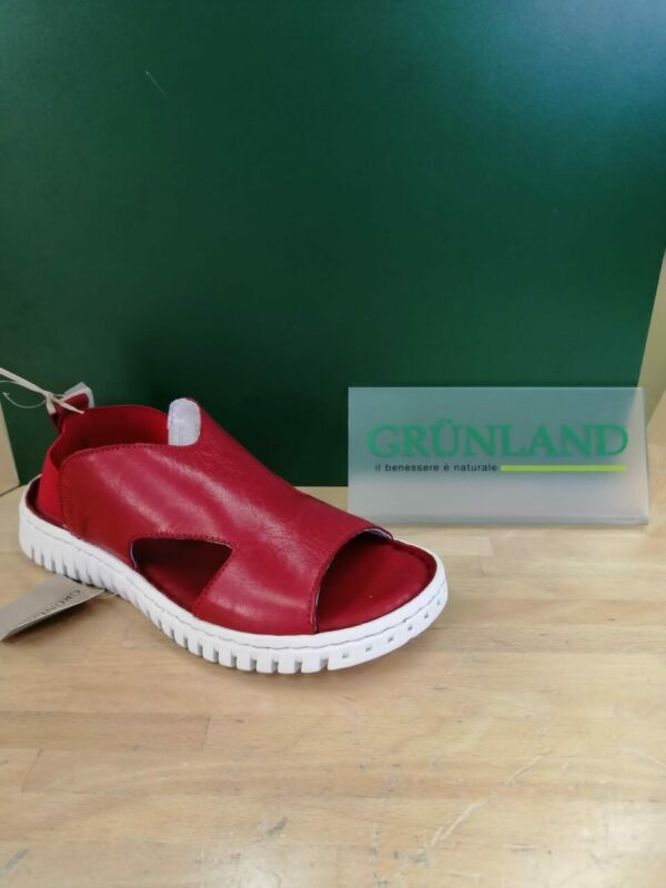 Sandalo - Grunland IMG 20210529 WA0006