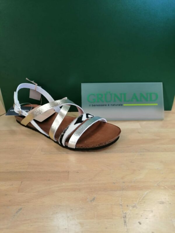 Sandalo - Grunland IMG 20210529 WA0009