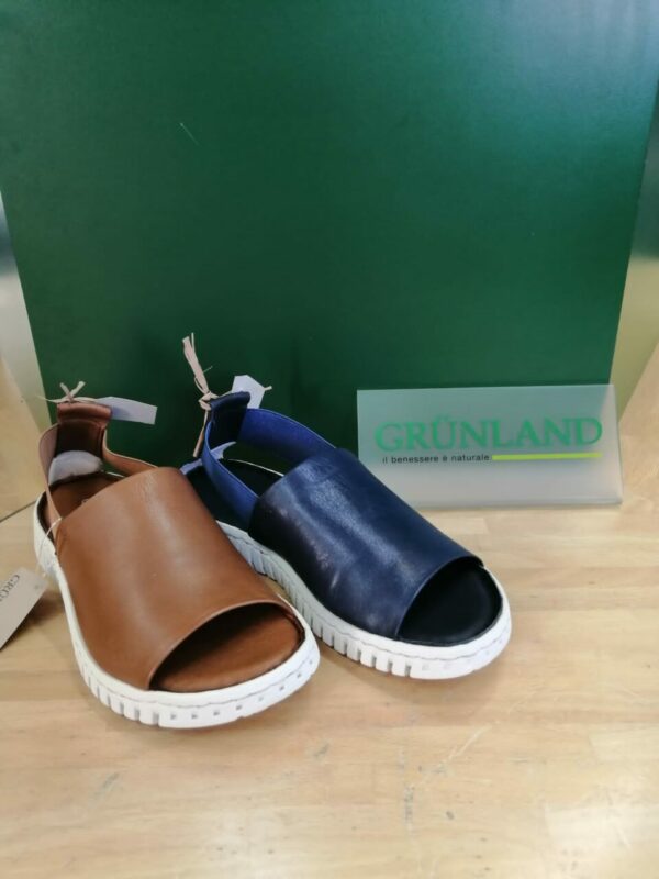Sandalo - Grunland IMG 20210529 WA0018